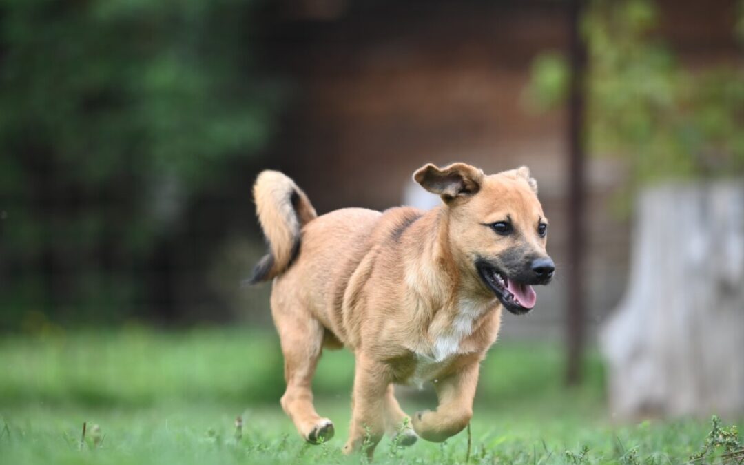 Caspar – Reserviert