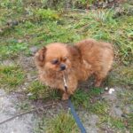 Harley – Happy End