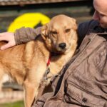 Bros – fröhlich und sanft